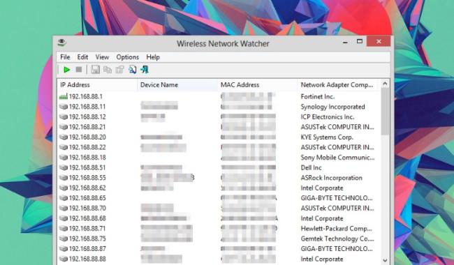 Program Wireless Network Watcher