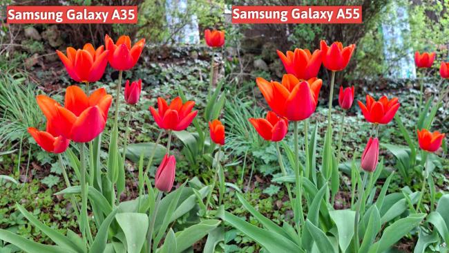 Fotografie z Samsung Galaxy A55 
