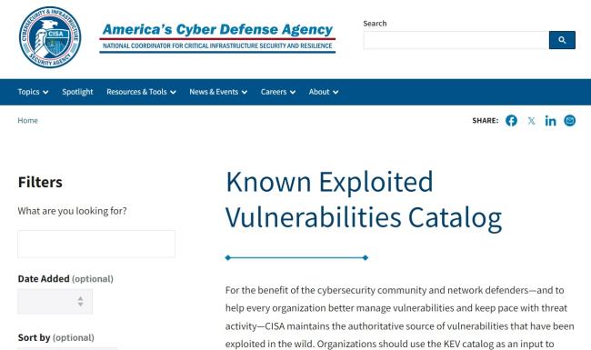Webové stránky americké kyberbezpečnostní agentury