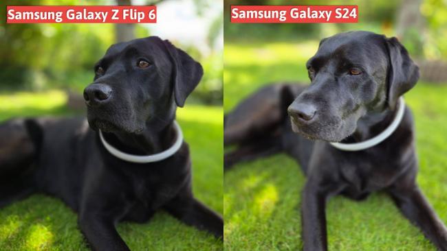 Snímek z telefonu Samsung Galaxy Z Flip6