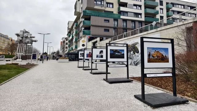 Nevídaný zážitek: fotografie, které nemusíte jen vidět